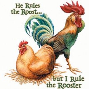 Rooster Regulation app screenshot